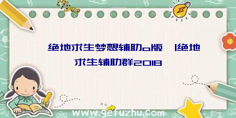 「绝地求生梦想辅助a版」|绝地求生辅助群2018